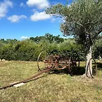 Villa Locazione Turistica L'antica Sorgente Umbria *