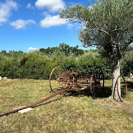 ヴィラ Locazione Turistica L'antica Sorgente Umbria *