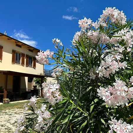 Locazione Turistica L'antica Sorgente Villa