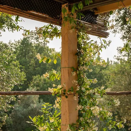 ヴィラ Locazione Turistica L'antica Sorgente Umbria *