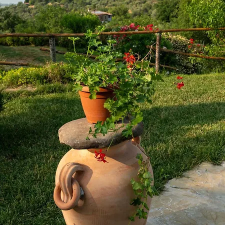 Locazione Turistica L'antica Sorgente Villa